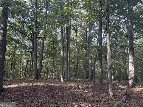 0 Killarney Way, Kingston, GA 30145 photo 2