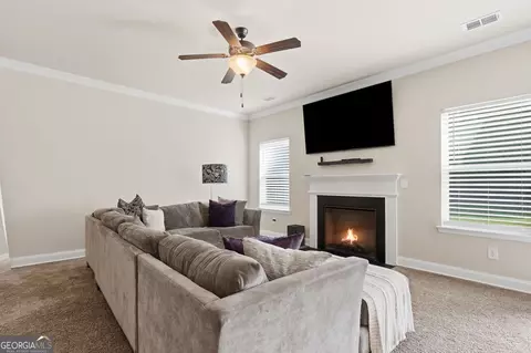 Other - 1422 Stone Ridge Ct, Hampton, GA 30228 photo 5 of 11