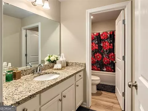 Bath - 197 Cabin Way, Hampton, GA 30228 photo 3 of 4