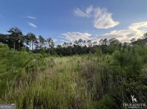 tbd Bedsole Rd, Eastman, GA 31023