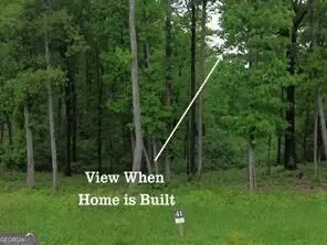 41 High Summit Dr, Talking Rock, GA 30175 photo 9