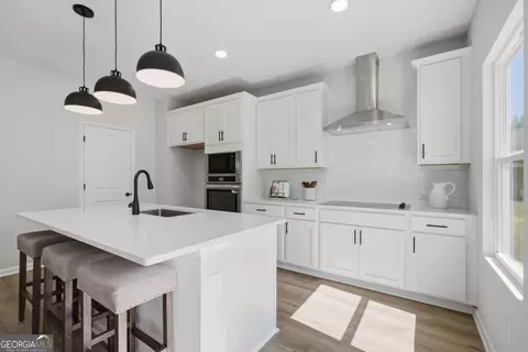 Kitchen - 232 Black Walnut Way, Canton, GA 30114 photo 2 of 3