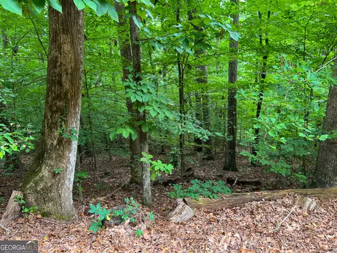 Undisclosed, Dalton, GA 30720 photo 5