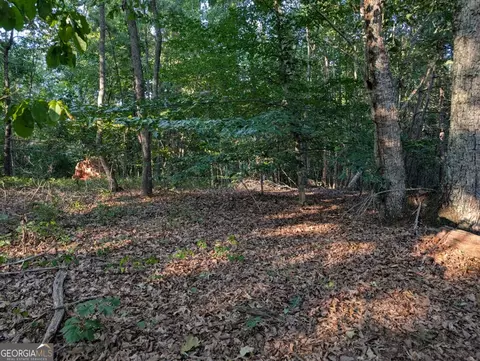 0 Jay Green Rd, Canton, GA 30115 photo 10
