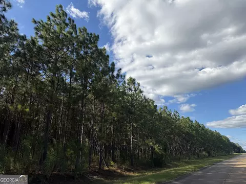 001 Sandy Bottom Rd, Blakely, GA 39823 photo 5