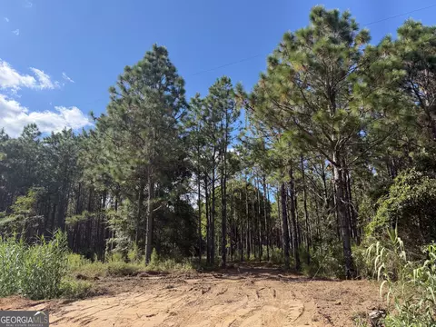 001 Sandy Bottom Rd, Blakely, GA 39823 photo 2
