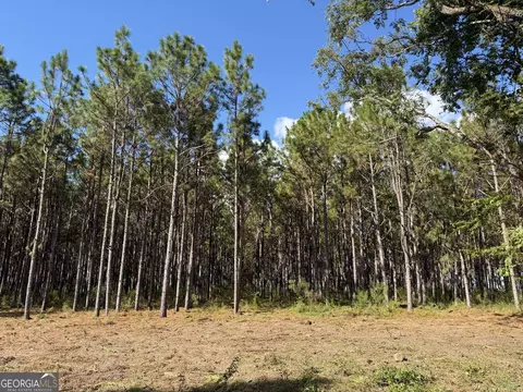 001 Sandy Bottom Rd, Blakely, GA 39823 photo 3