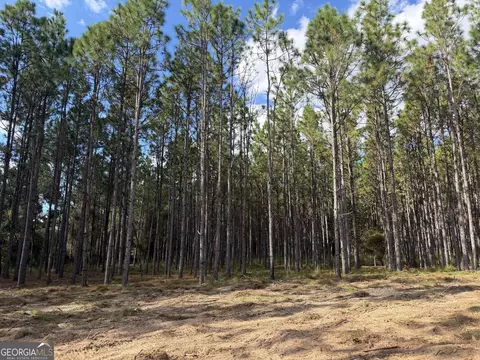 001 Sandy Bottom Rd, Blakely, GA 39823 photo 4