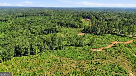 150 Acres Giles Rd, Forsyth, GA 31029 photo 7