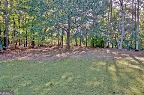 Exterior - 125 Hedgewick Way, Tyrone, GA 30290 photo 15 of 21