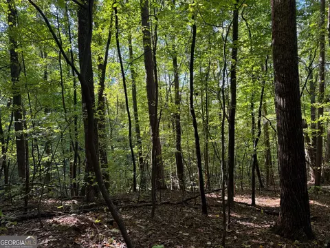0 Mountain View Ct #J349-350, Ellijay, GA 30536