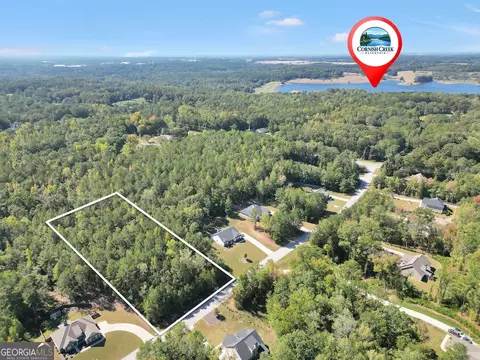 60 Hawthorn Ln, Covington, GA 30014 photo 4