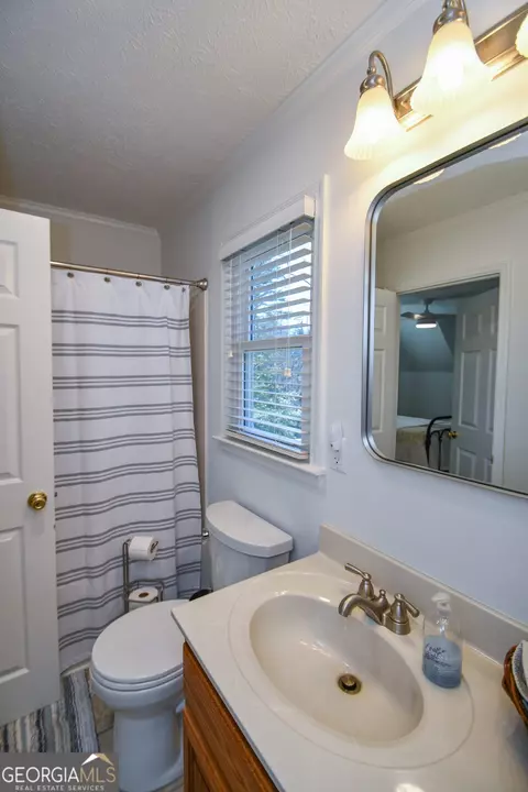 Bath - 1207 Old River Rd, Cornelia, GA 30531 photo 3 of 3