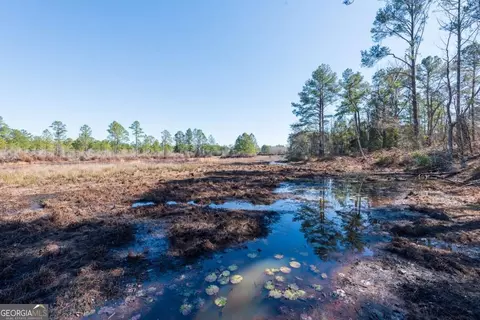 View/Area - 832 Ramblin Rd, Quitman, GA 31643 photo 1 of 2