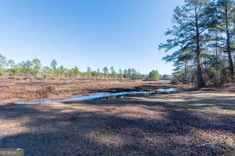View/Area - 832 Ramblin Rd, Quitman, GA 31643 photo 2 of 2