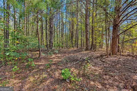 1 Lees Bridge Road, Delta, AL 36258 photo 14