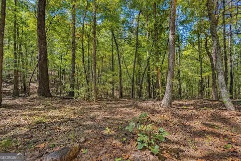 1 Lees Bridge Road, Delta, AL 36258 photo 17