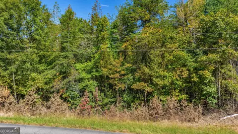1 Lees Bridge Road, Delta, AL 36258 photo 10