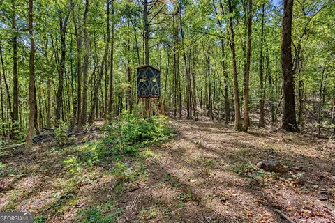 1 Lees Bridge Road, Delta, AL 36258 photo 11
