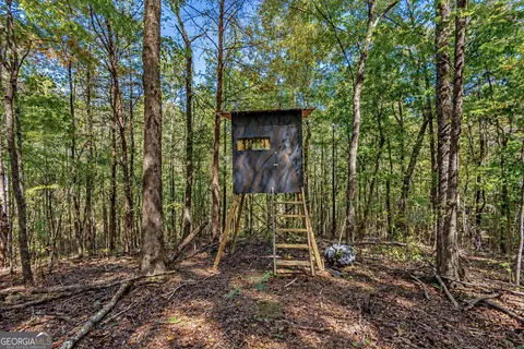 1 Lees Bridge Road, Delta, AL 36258 photo 12