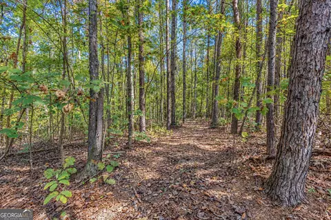3 Lees Bridge Road, Delta, AL 36258 photo 15