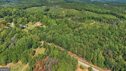 3 Lees Bridge Road, Delta, AL 36258 photo 3