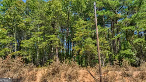 3 Lees Bridge Road, Delta, AL 36258 photo 8
