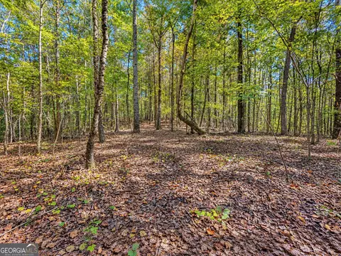 3 Lees Bridge Road, Delta, AL 36258 photo 13