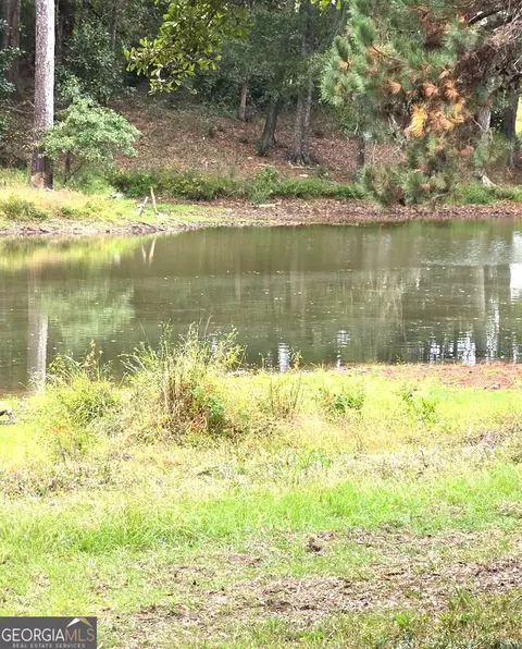 319 Powell Dr, Jackson, GA 30233 photo 10