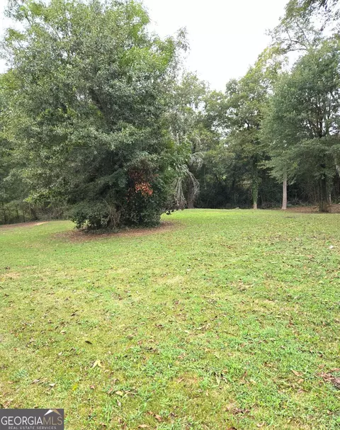 319 Powell Dr, Jackson, GA 30233 photo 4