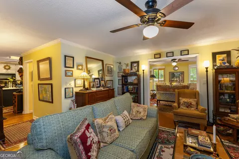 Living - 175 Weeping Willow Way, Tyrone, GA 30290 photo 4 of 4
