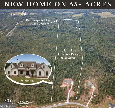 lot Apt 42 Starlight Dr, Senoia, GA 30276