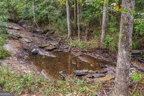 Other - 832 Voorhees Rd E, Hamilton, GA 31811 photo 9 of 10