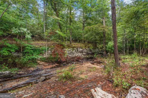Exterior - 832 Voorhees Rd E, Hamilton, GA 31811 photo 10 of 10