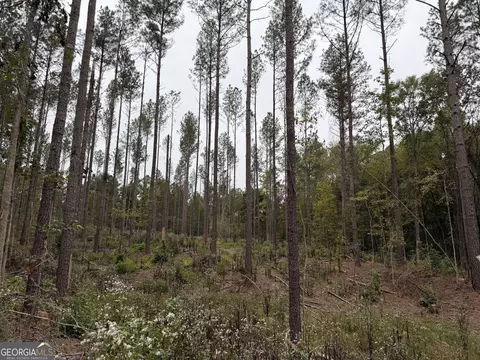 0 Adolphus Callaway Rd, Rayle, GA 30660 photo 8