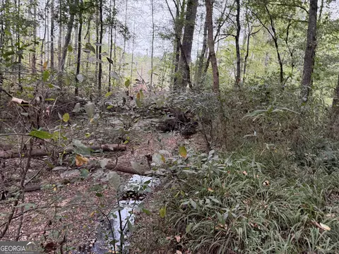 0 Adolphus Callaway Rd, Rayle, GA 30660 photo 13
