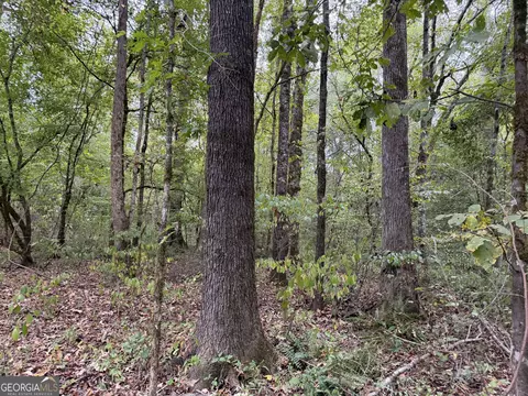 0 Adolphus Callaway Rd, Rayle, GA 30660 photo 14