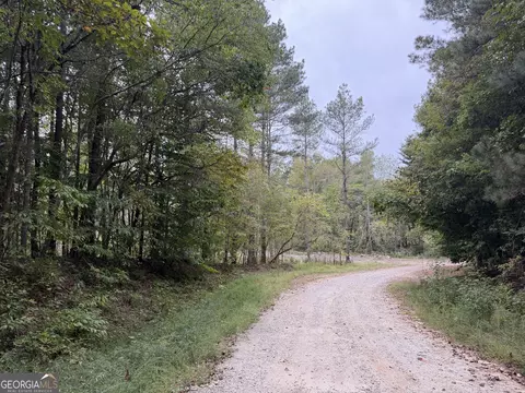 0 Adolphus Callaway Rd, Rayle, GA 30660 photo 4