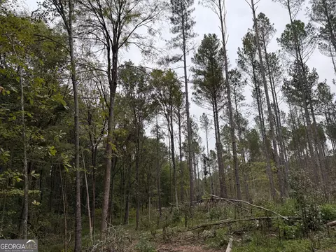 0 Adolphus Callaway Rd, Rayle, GA 30660 photo 9