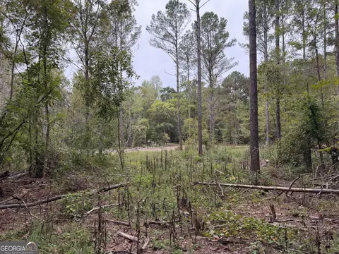 0 Adolphus Callaway Rd, Rayle, GA 30660 photo 5