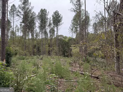 0 Adolphus Callaway Rd, Rayle, GA 30660 photo 7