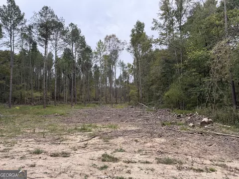 0 Adolphus Callaway Rd, Rayle, GA 30660 photo 3