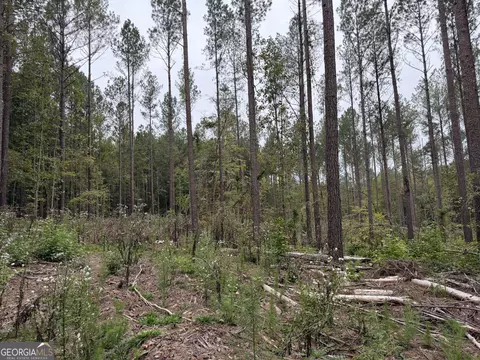 0 Adolphus Callaway Rd, Rayle, GA 30660 photo 6