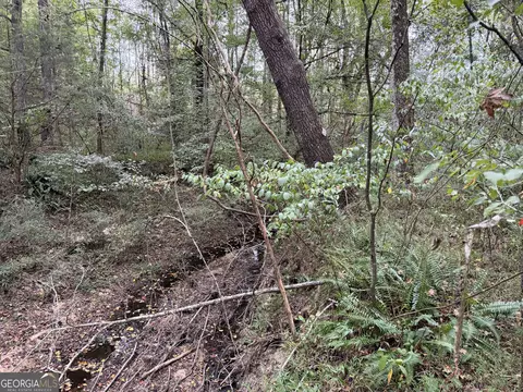 0 Adolphus Callaway Rd, Rayle, GA 30660 photo 15