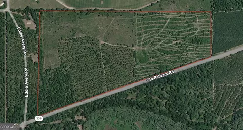 0 Old Pelham Rd, Climax, GA 39834