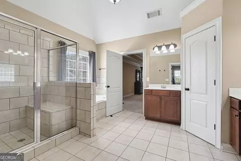Bath - 313 Snow Bird Dr, Hampton, GA 30228 photo 2 of 5