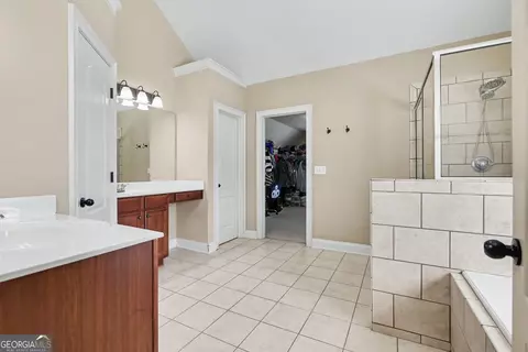 Bath - 313 Snow Bird Dr, Hampton, GA 30228 photo 1 of 5