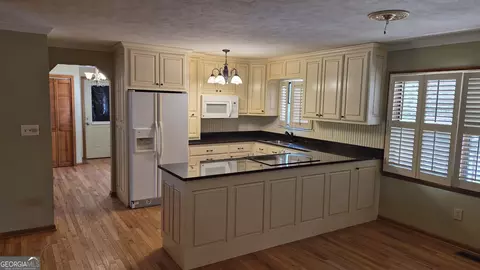 217 Mccartan Trl, Clarkesville, GA 30523 photo 7