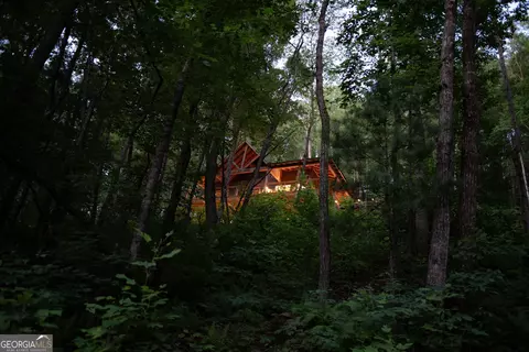 184 Rockhouse Rd, Cherry Log, GA 30522 photo 30
