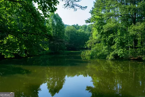 184 Rockhouse Rd, Cherry Log, GA 30522 photo 29
